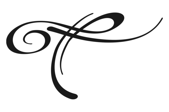 Download Calligraphic Swoosh Element. Ornate Divi - Element Collection